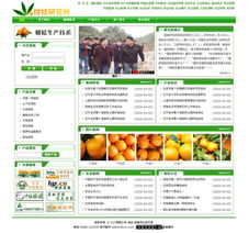 零成本建站新选择 卓天网络赋能普通用户实现网站梦想